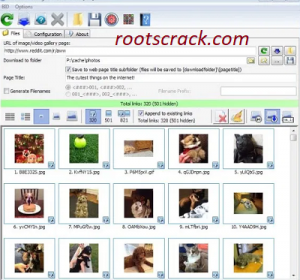 bulk image Downloader Crack
